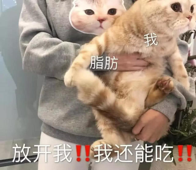 史上超秀表情包来袭个个神魔乱舞专治不服之人