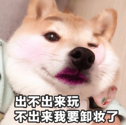 笑话段子没什么大不了就是想虐一下狗