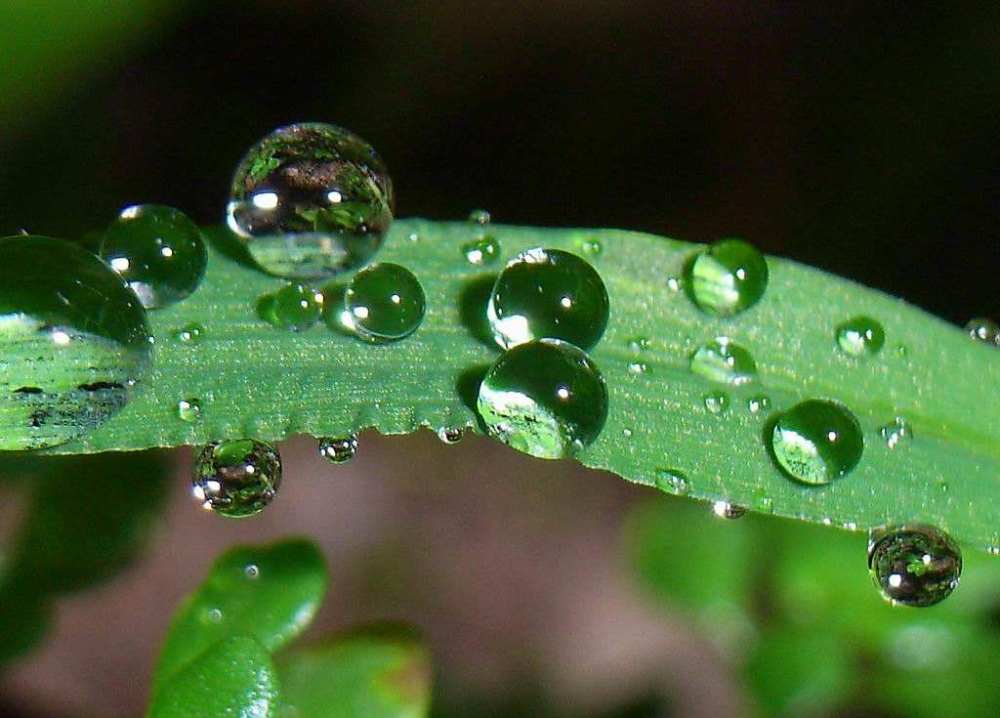 李煜|李煜最伤感的一首词，世事漫随流水，算来一梦浮生，人生不过如此