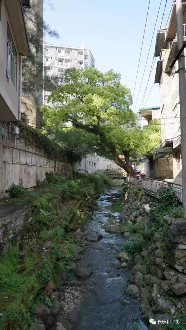 腾讯内容开放平台