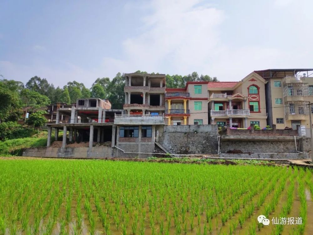 重现水清岸绿美景度尾镇多管齐下提升木兰溪水质