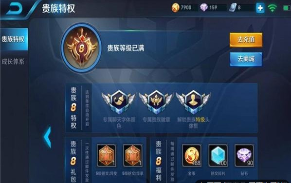 王者荣耀V8充值金额解析，王者荣耀，V8充值金额全面解析