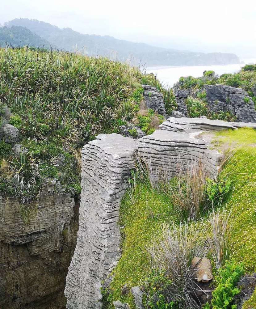 新西蘭南島千層巖