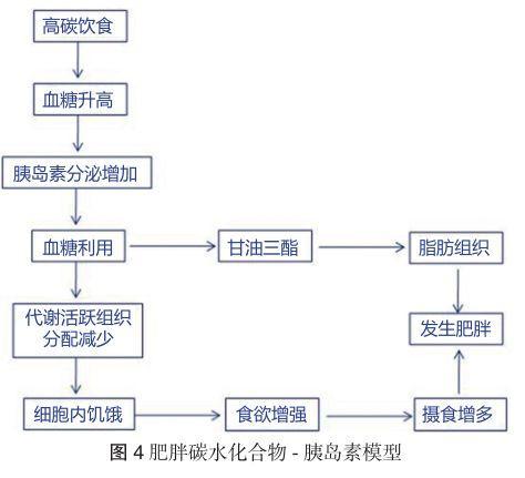正确的低碳饮食不仅降低体重 还是慢病的首选解决方案