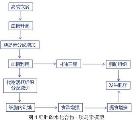 生理前体重減少 最高のスタイルの画像を無料で