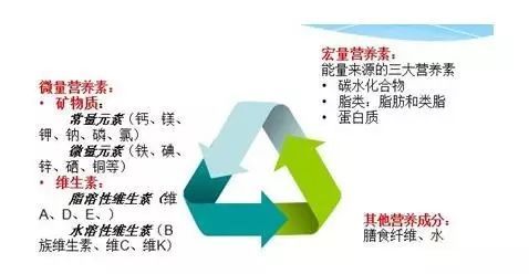 美亚试管 如何选择孕期复合维生素 腾讯新闻