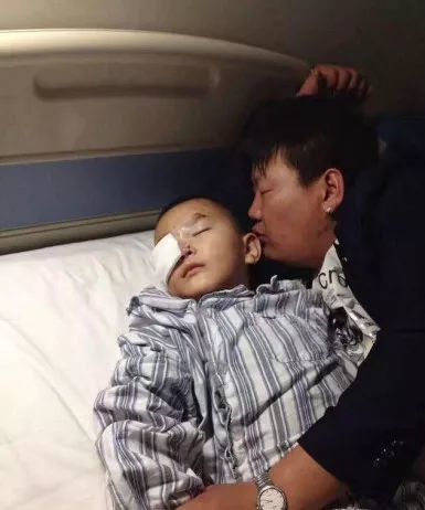 狂犬病毒|6岁男孩被狗咬后死亡获赔78万：越乖的宠物，越需要远离！