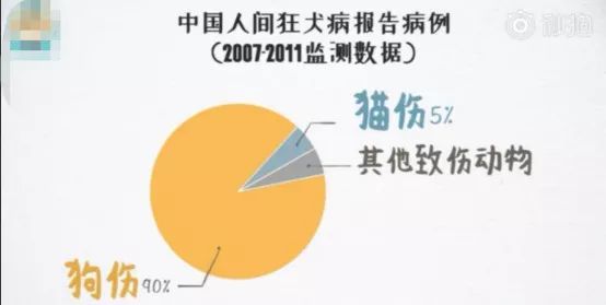 狂犬病毒|6岁男孩被狗咬后死亡获赔78万：越乖的宠物，越需要远离！