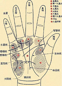 男人手相算命图解,洞悉你男人的命运信息|手相|智慧线|感情线