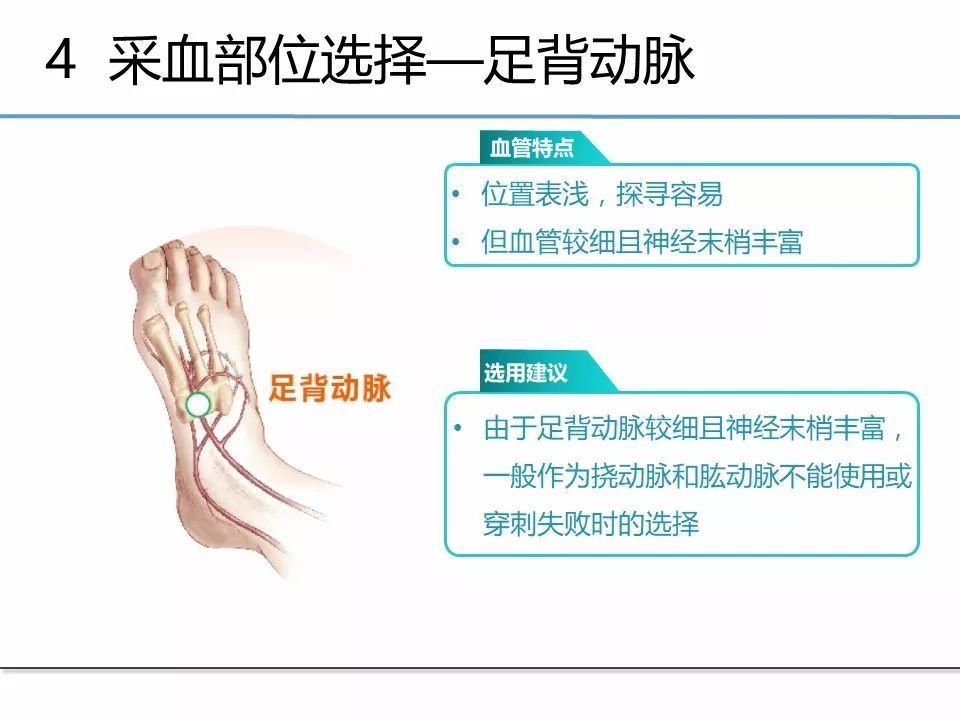 ppt动脉采血临床操作指南