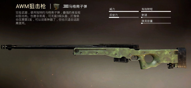 和平精英 盘点人气枪械 射程最远的原来是它