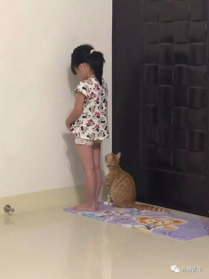 猫陪着小主人一起面壁思过猫奴啊!这就是猫奴!