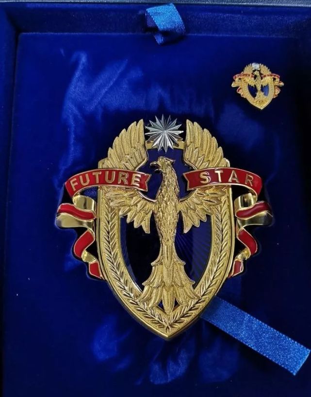 华为优秀员工"未来之星"奖章