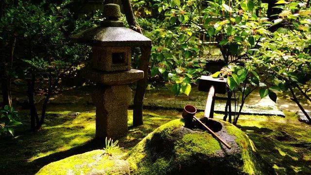 腾讯内容开放平台