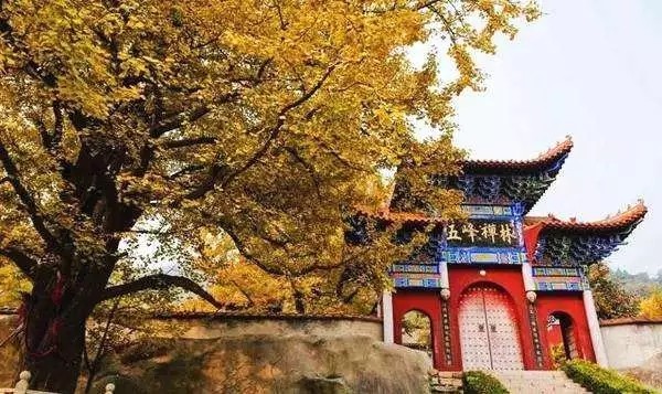 上新了!河北上百景区免费游,记着带上这个证