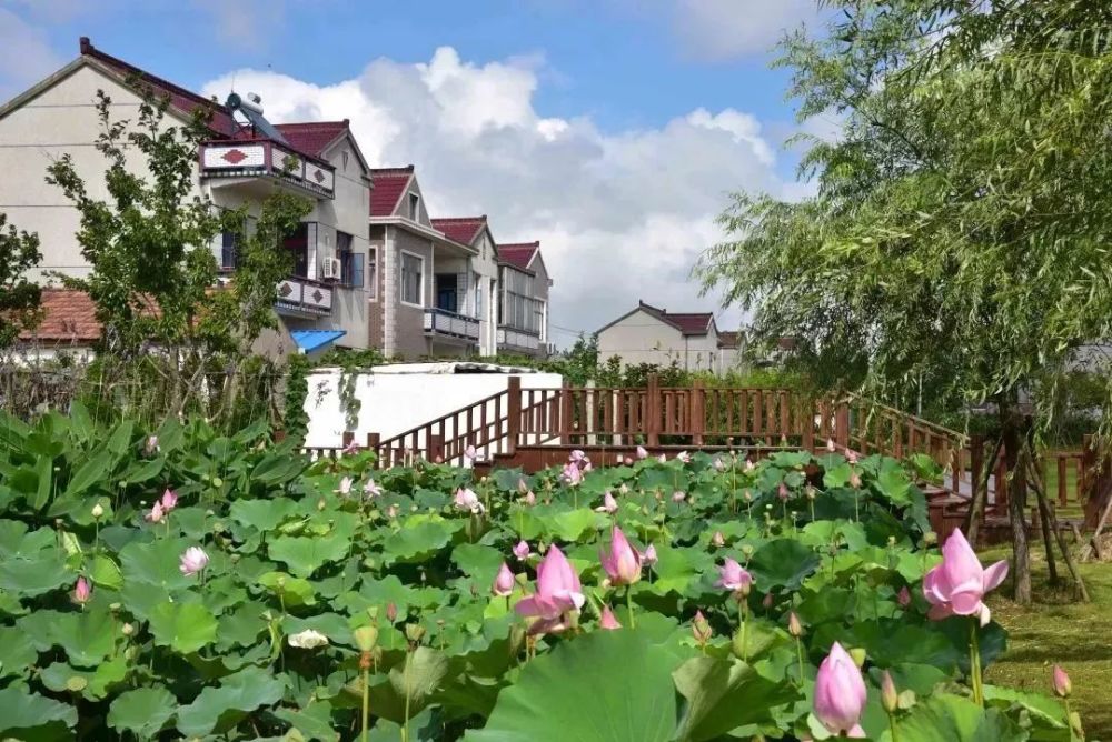 崇明这座宛如世外桃源的静美岛屿,带你开启新旅途