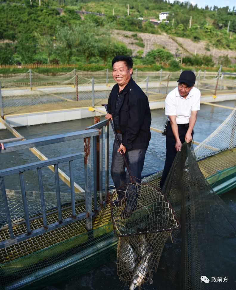 交通便捷的区位优势,带动乌江镇产业的发展,图为乌江鱼生态养殖场