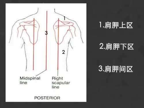 肩胛不通有什么危害