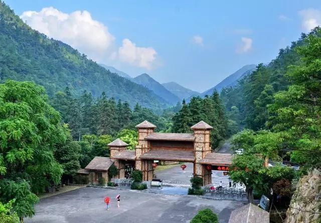 广西十大网红排名_他是广西第一网红,曾捐3千万入选十大青年,今为家乡