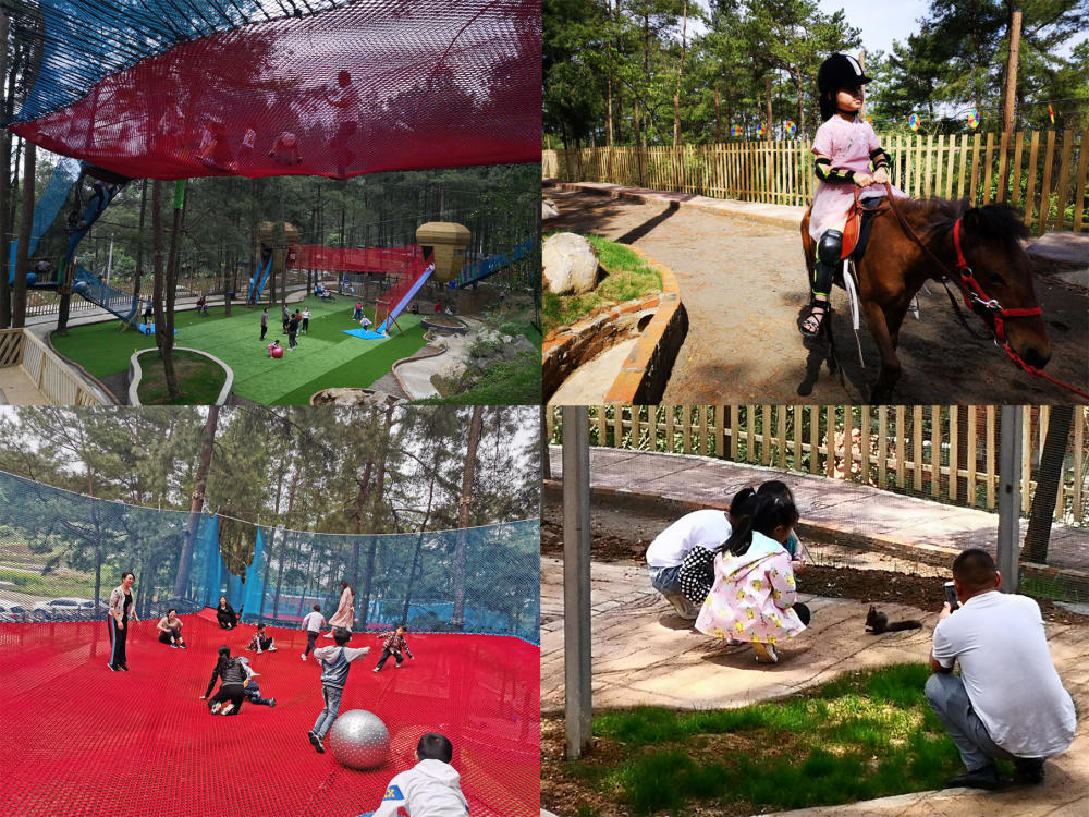 暑假来了,重庆及周边最适合亲子游的三个景点在这里