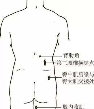 体表骨性标志在疼痛中的应用 腾讯新闻