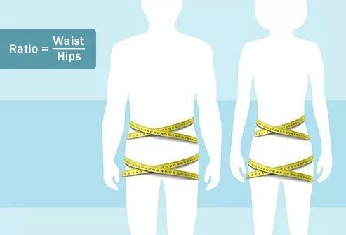 8 或者更小理想的男性腰臀比:0.