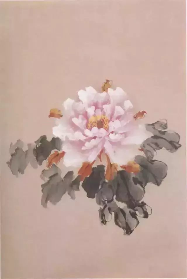牡丹|彩墨牡丹这样画