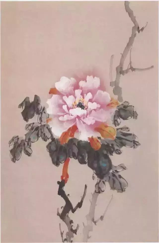 牡丹|彩墨牡丹这样画