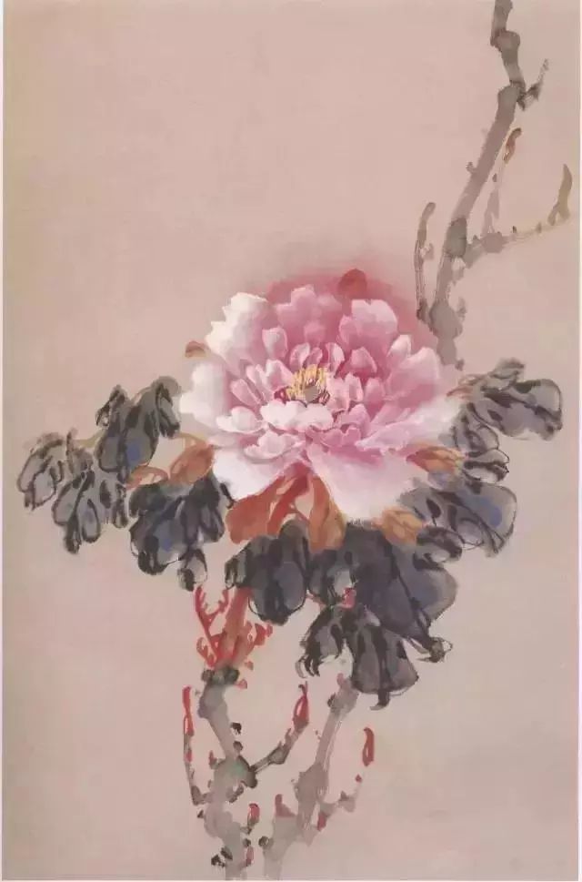 牡丹|彩墨牡丹这样画