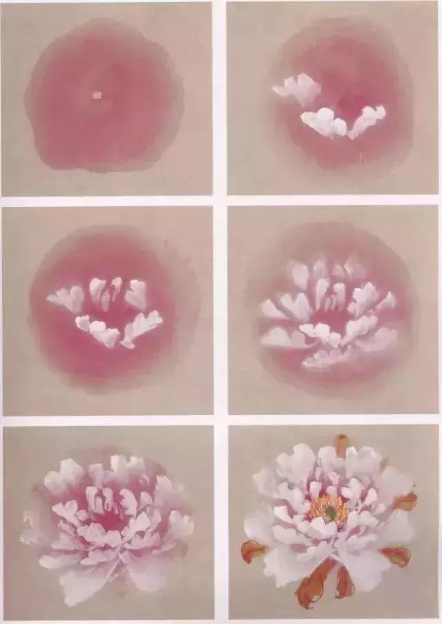 牡丹|彩墨牡丹这样画
