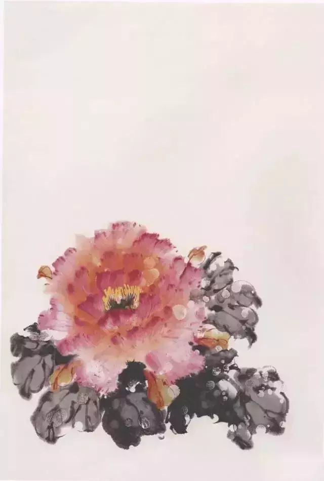 牡丹|彩墨牡丹这样画