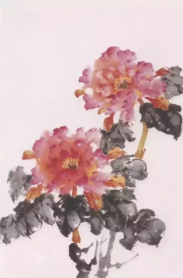 牡丹|彩墨牡丹这样画