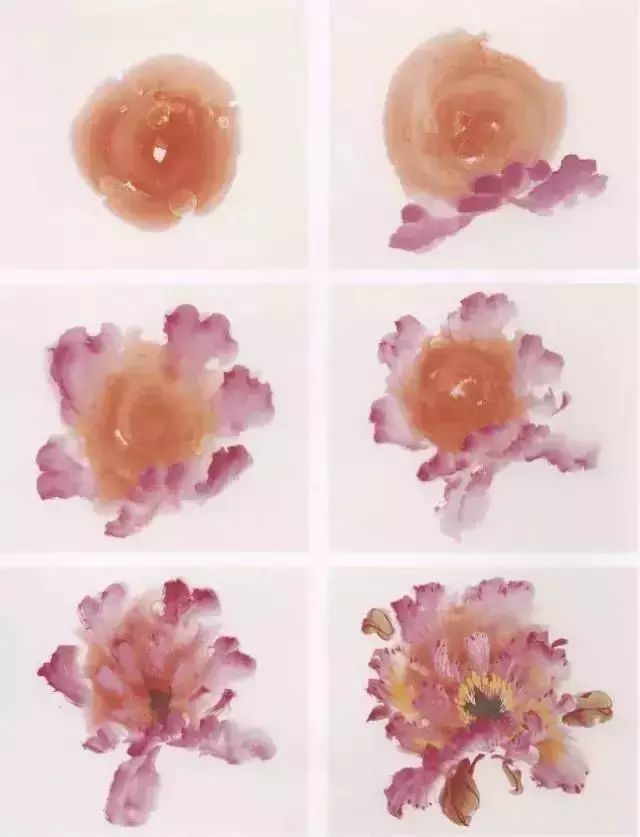 牡丹|彩墨牡丹这样画