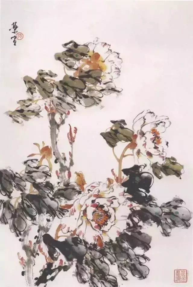 牡丹|彩墨牡丹这样画