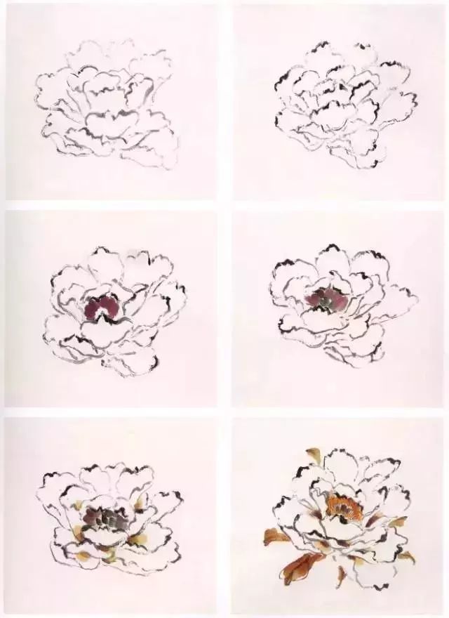 牡丹|彩墨牡丹这样画