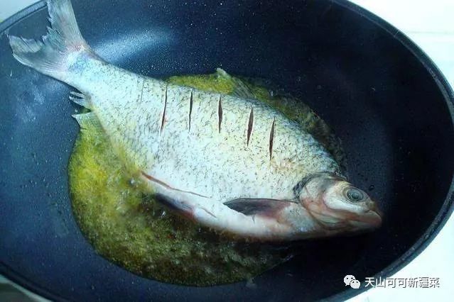 鱼到底是热油还是冷油?哪种煎鱼最好做不破皮