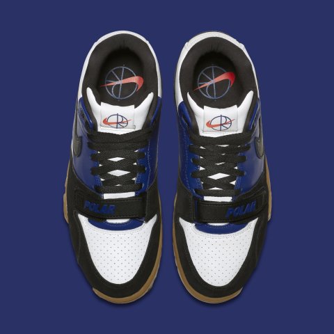 nike sb polar air trainer 1