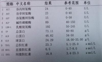 自身免疫性肝炎,飲酒,肥胖,藥物中毒,膽道疾病等都可引起谷丙轉氨酶