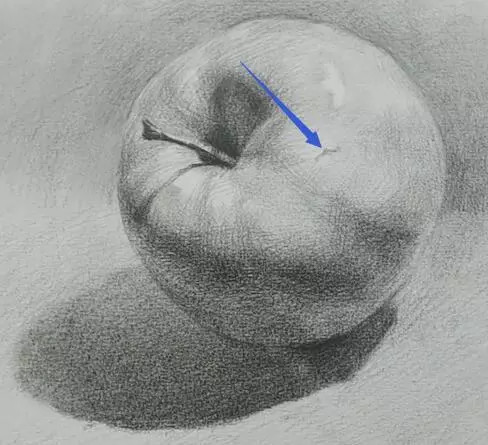 素描零基础入门教学-苹果素描详解,重点结构知