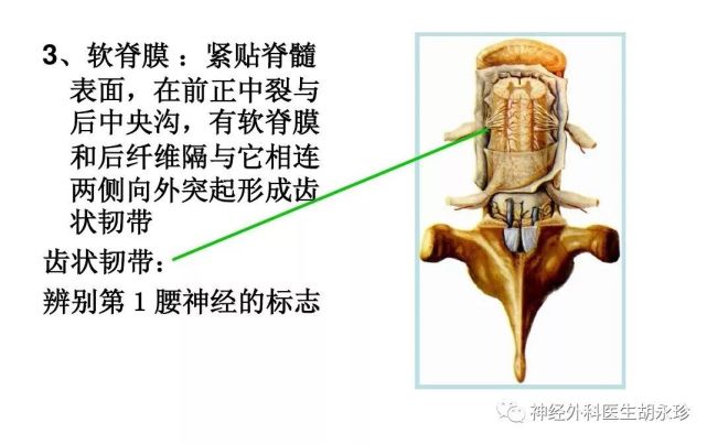 腾讯内容开放平台