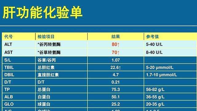 肝功能主要指标,它们的结果说明什么?