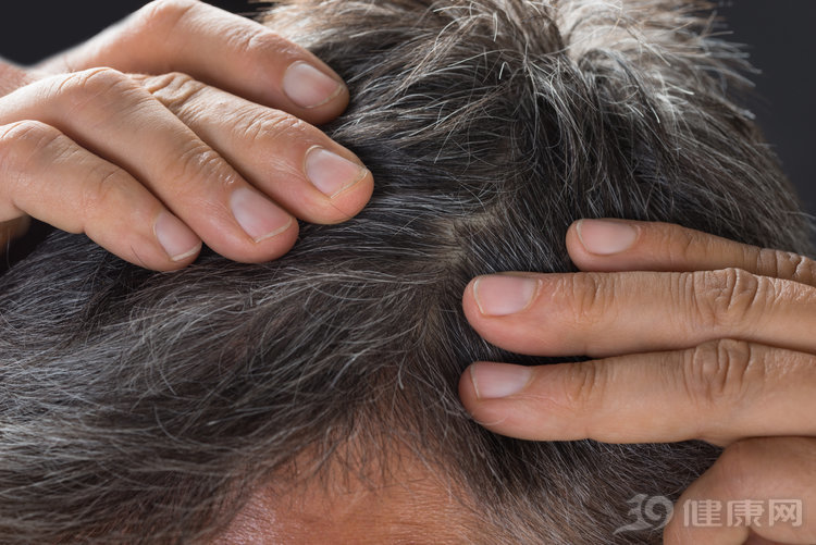 人一般到多少岁会长出白发实际年龄比你想的要早很多