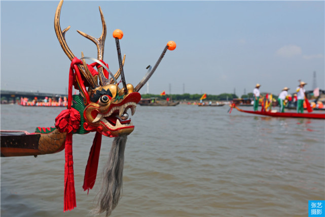 端午节在广州:热闹的赛龙舟,广州人称扒龙船