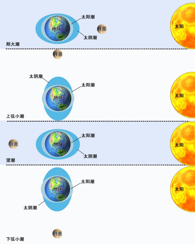 如果它吸引月球,那么月球就会加速,因为它在绕其轨道运动的方向上获得