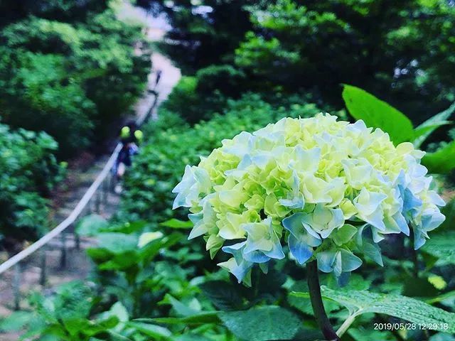 腾讯内容开放平台