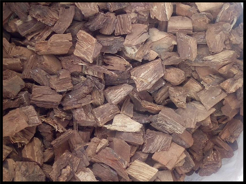 路边的柳树皮是个"宝",剪碎用水泡一泡不少人都喜欢用,学学