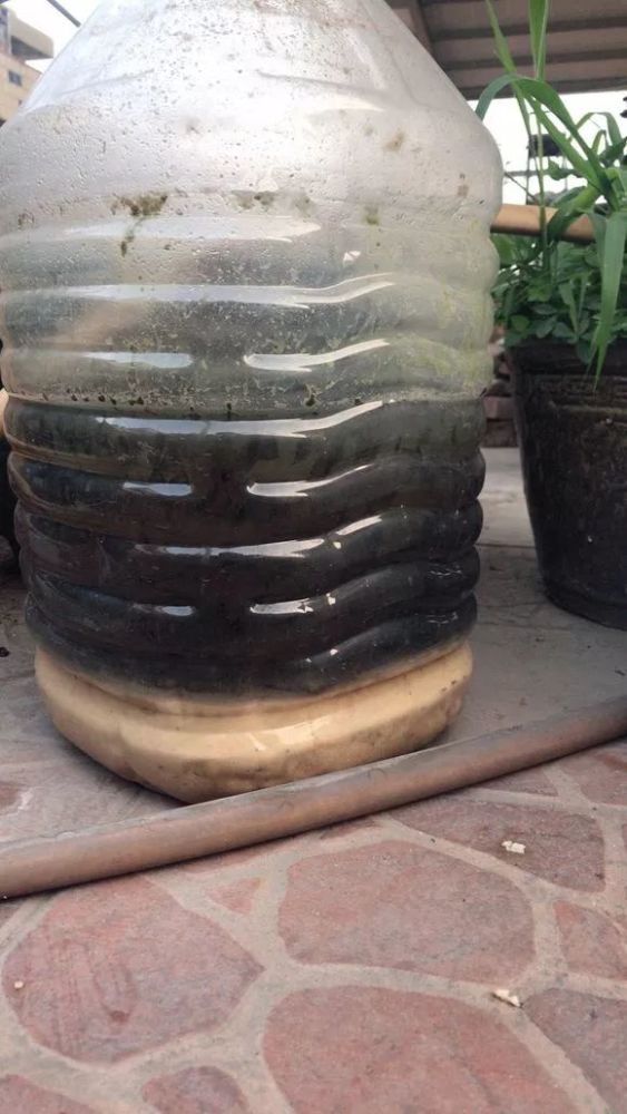 爆盆|老花匠的“秘方”，自制养花“黑水”，浇盆里1月就“爆盆”！