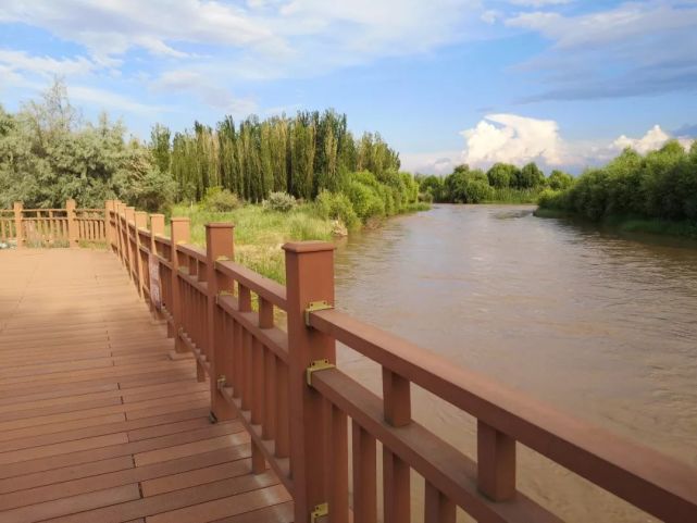 伊犁河湿地——芳草湖掠影