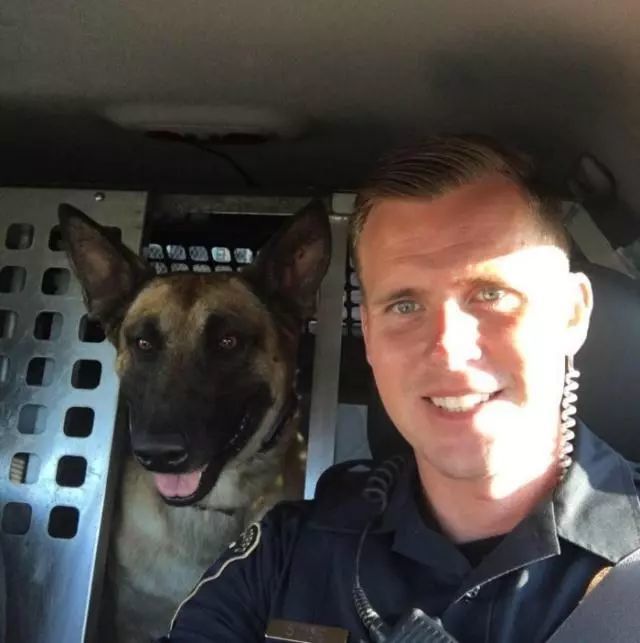 和军犬结下深厚友情 因退休被迫离开它 却在7个月后惊喜重逢
