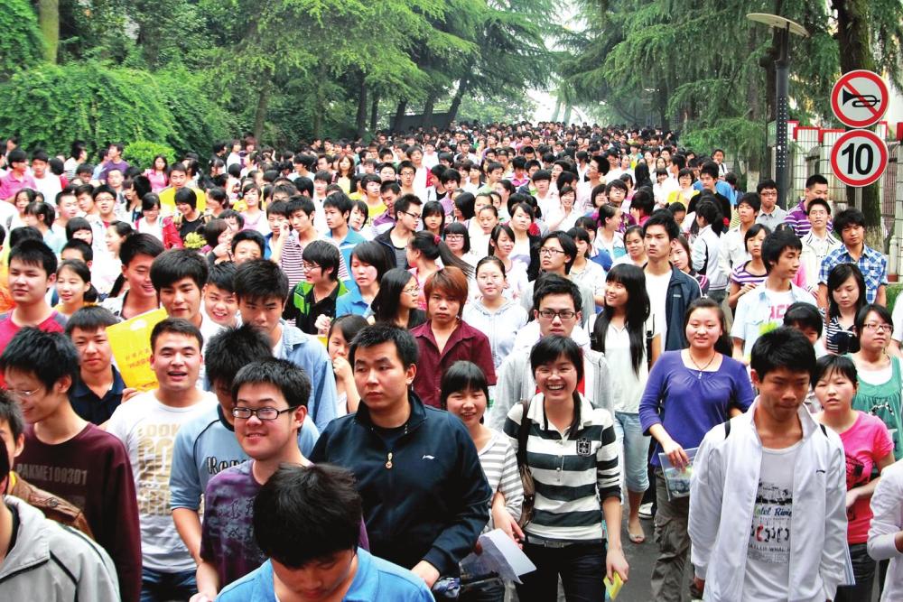 妖精|神魔世界里的“高考”，到底有多残酷？